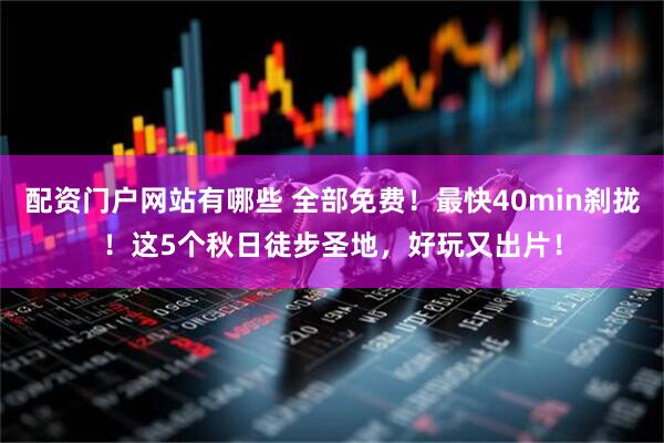 配资门户网站有哪些 全部免费！最快40min刹拢！这5个秋日徒步圣地，好玩又出片！